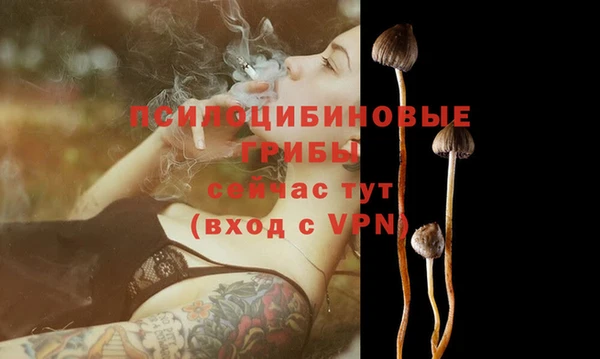 эйфоретик Покров