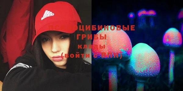 каннабис Покачи