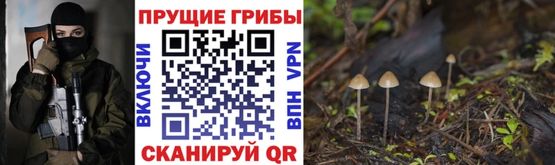 Галлюциногенные грибы GOLDEN TEACHER где продают наркотики Алексеевка