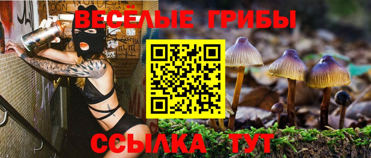 Псилоцибиновые грибы Cubensis Алексеевка