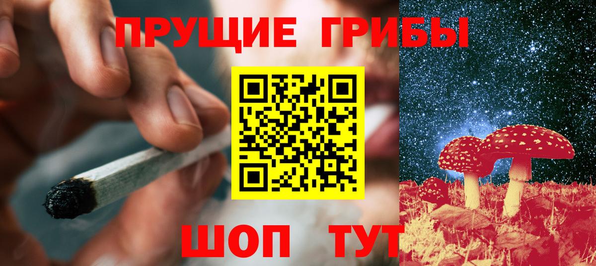 Алексеевка  Псилоцибиновые грибы MAGIC MUSHROOMS  Вход с VPN 