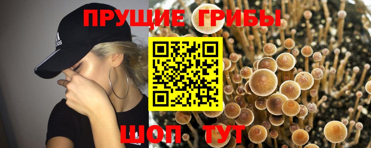 МДМА  АМФ   ГАШ  Алексеевка  Метадон  Конопля  Меф кристаллы 