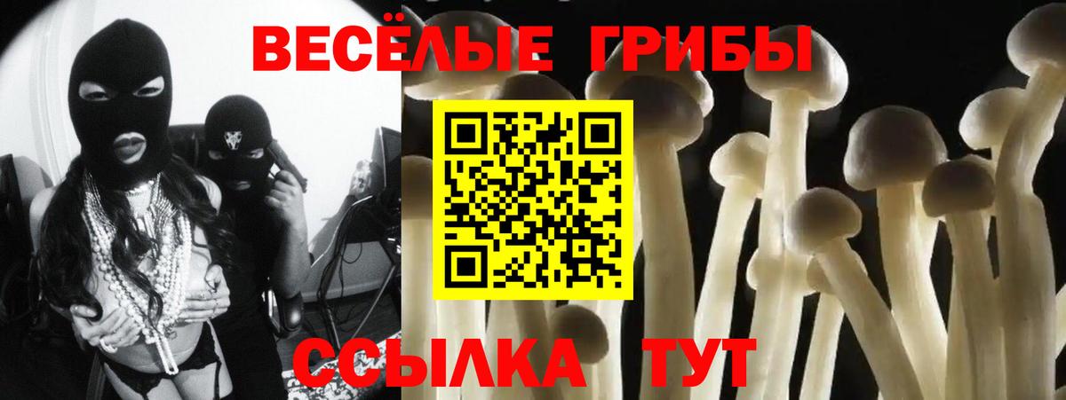 купить закладку  Алексеевка  Галлюциногенные грибы Cubensis 